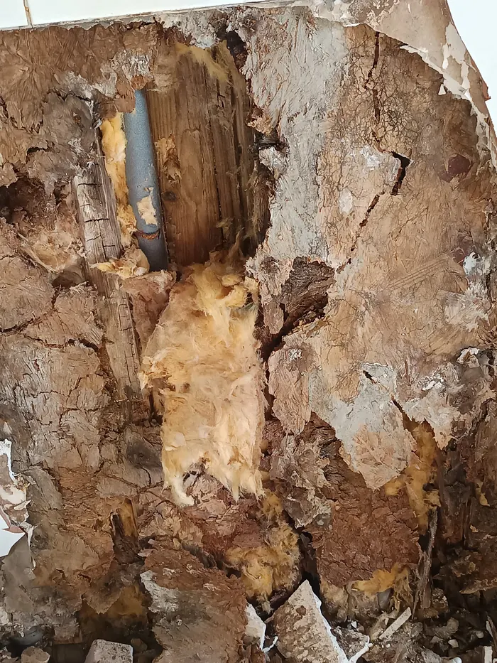 Close-up of rotten wall structure and damaged insulation