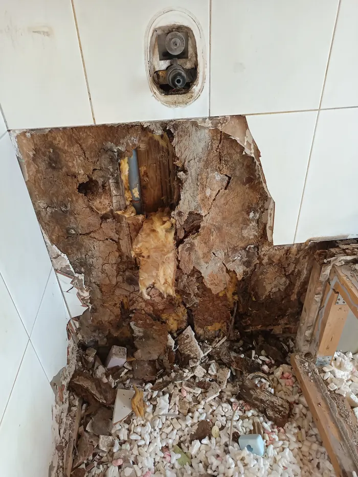 Water damage and mould behind bathroom tiles near plumbing