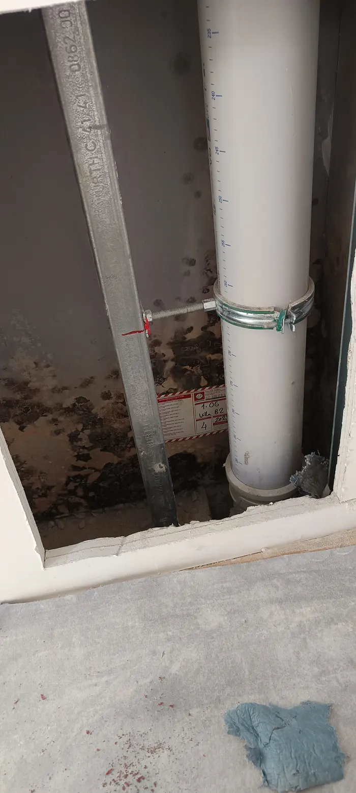 Mould-covered shaft wall next to drainage pipe
